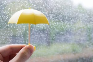 雨とミニチュアの傘